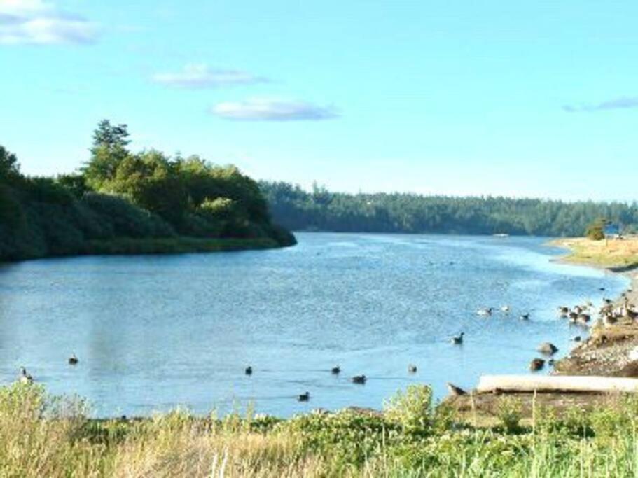 Apartmán Esquimalt Lagoon Life Victoria Exteriér fotografie